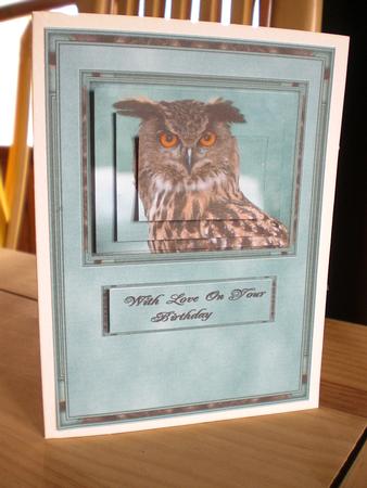 Owl Pryamage by Deb Hinds-Wood