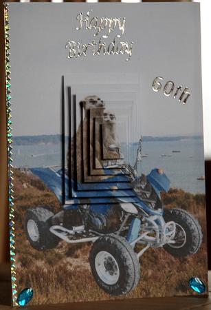Meerkats - Quadbike Ride - It's My Turn! by Deb Hinds-Wood