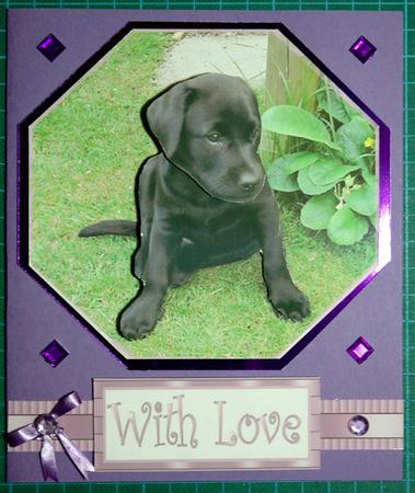 Puppy Step-by-step by Deb Hinds-Wood