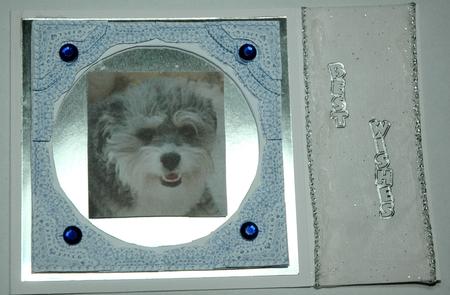 Dori a Cute Puppy Dog - Square Lace Framed Corner Stacker by Deb Hinds-Wood