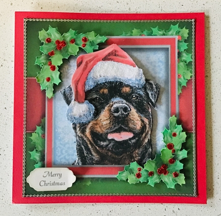 Gorgeous Rottweiler With Holly 8x8 Mini Kit by Debbie Knechtel