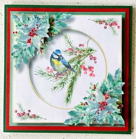 Beautiful Watercolour Bird At Christmas Bumper Kit by Debbie Knechtel