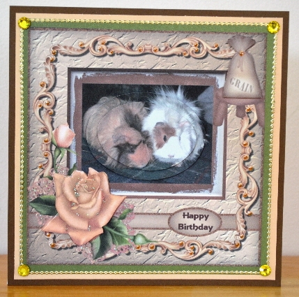 Guinea Pig Mini Kit by Debbie Knechtel