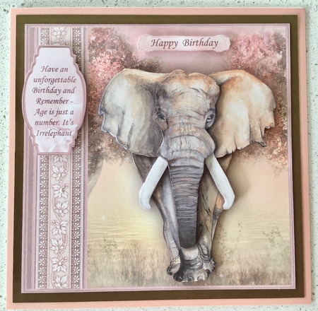 FEMALE ELEPHANT Age is Just a Number 8x8 Birthday Decoupage Mini Kit by Debbie Knechtel