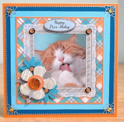 Cat birthday get well card front by Debbie Knechtel