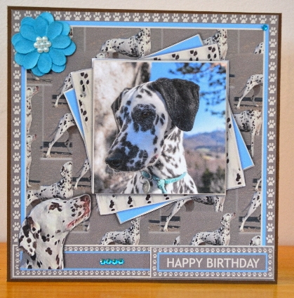 Dalmations by Debbie Knechtel