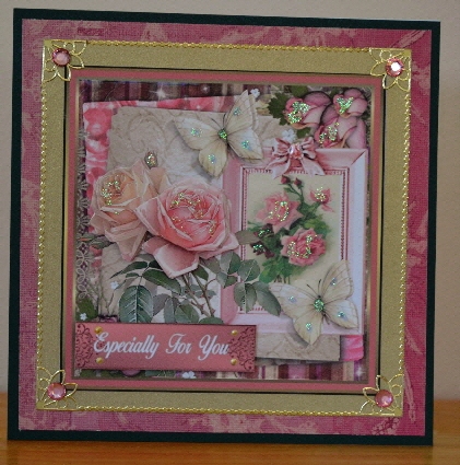 Rose variety by Debbie Knechtel