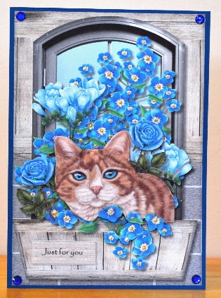 Beautiful Cat In Window by Debbie Knechtel