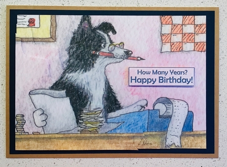 Accountmutt, Border Collie Dog Accountant by Debbie Knechtel