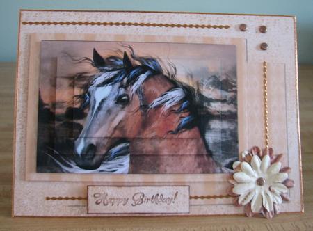 Wild Horse Quick Card by Debbie Knechtel
