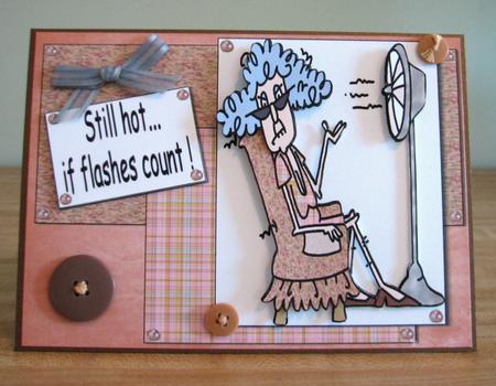 Stella's Got Hot Flashes by Debbie Knechtel