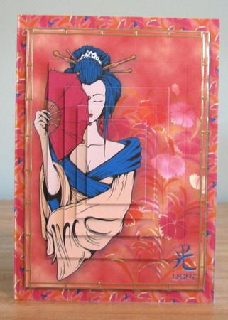 Options Bumper Kit Geisha 9, Light by Debbie Knechtel