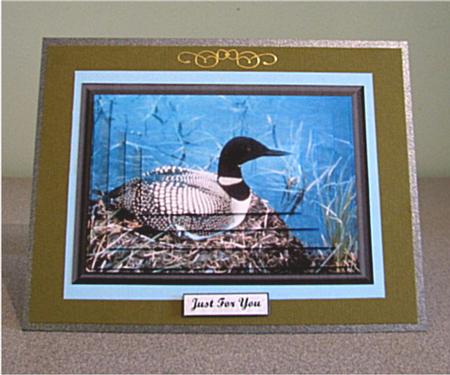 Common Loon by Debbie Knechtel