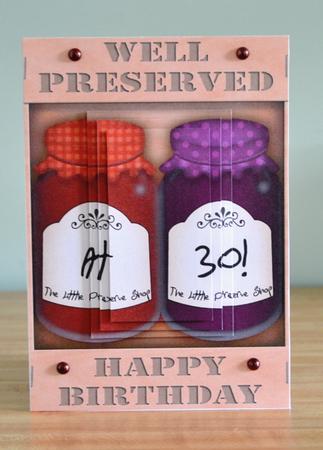 A5 Novelty Well Preserved 30th Birthday Jams Pyramage Topper by Debbie Knechtel