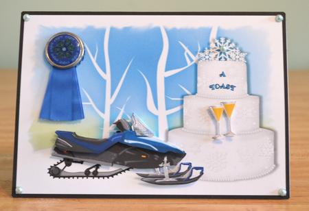 Snowmobile Qs by Debbie Knechtel