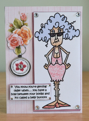 Stella Must Be Getting Older Quick Card by Debbie Knechtel