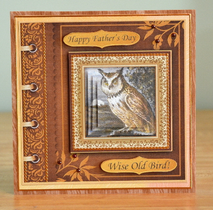 Wise Old Bird Card Topper & Pyramid Layers by Debbie Knechtel