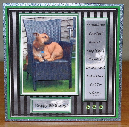 6 x 6 Relaxed Denzel Staffie Dog & Decoupagetopper by Debbie Knechtel