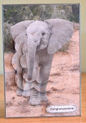 Cute Baby Elephant Scalloped Pyramid by Debbie Knechtel