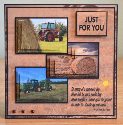 Haymaking by Debbie Knechtel