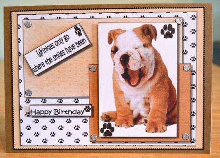 Wrinkles and Smiles Birthday Quick Topper by Debbie Knechtel
