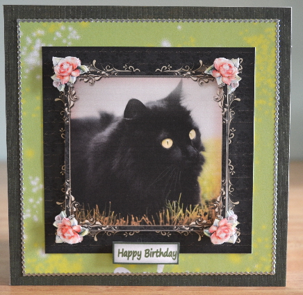 Bright Eyes by Debbie Knechtel