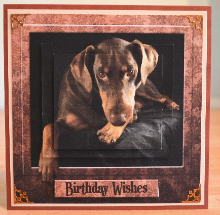Doberman 'the Look' 6inch Pyramid by Debbie Knechtel