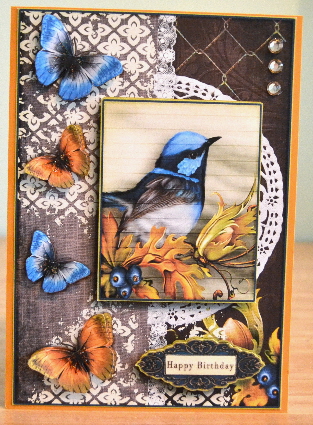Cardtopper with Matching Envelope Colourful Bird 701 by Debbie Knechtel
