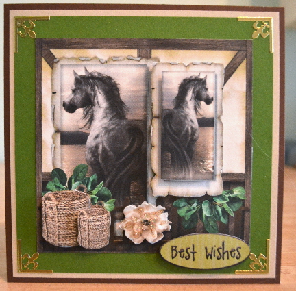 Beautiful Horses Male Card. by Debbie Knechtel