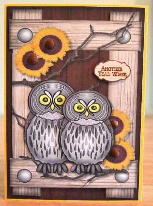 Owl Always Love You Male Card by Debbie Knechtel