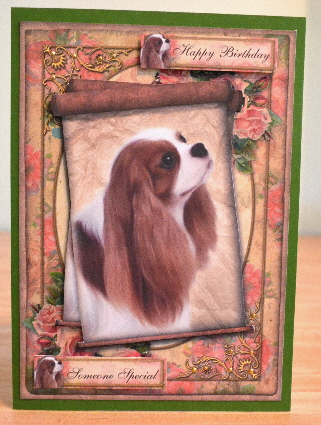 Cavalier King Charles by Debbie Knechtel