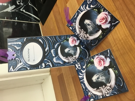 Moon Dust Beauty mini kit by DEBBIE LEIGHTON
