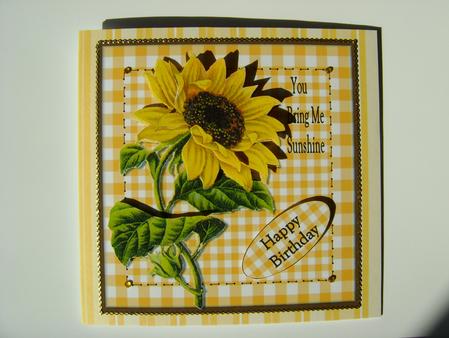 You Bring Me Sunshine by Debbie Singfield