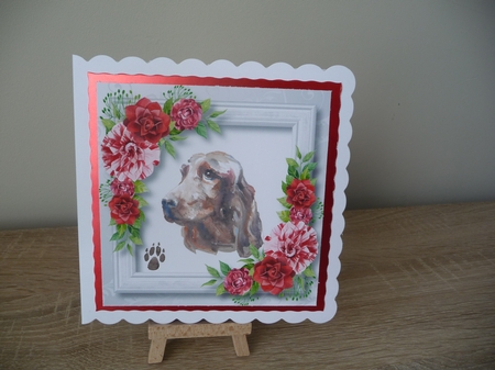 Beautiful Irish Setter & Red Camellias 8x8 by Debbie Whyte