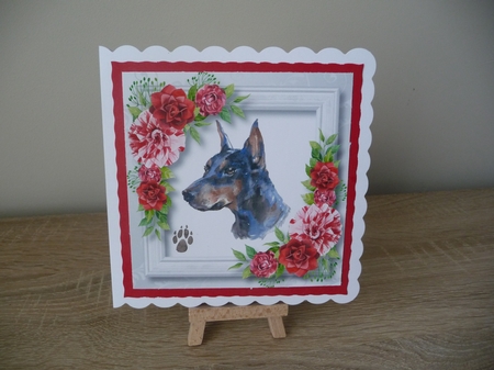 Beautiful Doberman & Red Camellias 8x8 by Debbie Whyte
