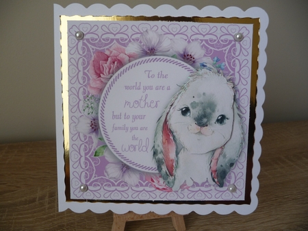 To the world you are a mother .... Rabbit 8x8 by Debbie Whyte