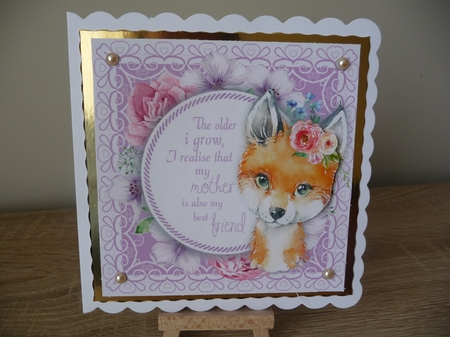 The older i grow   .... Fox 8x8 by Debbie Whyte