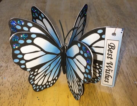 Mini 3D Butterfly a Hint of Blue Mini Kit by Debby Bloor