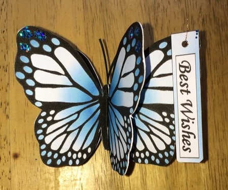 Mini 3D Butterfly a Hint of Blue Mini Kit by Debby Bloor