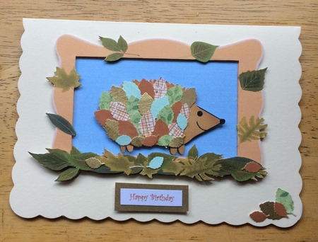Hedgehog by Debby Bloor
