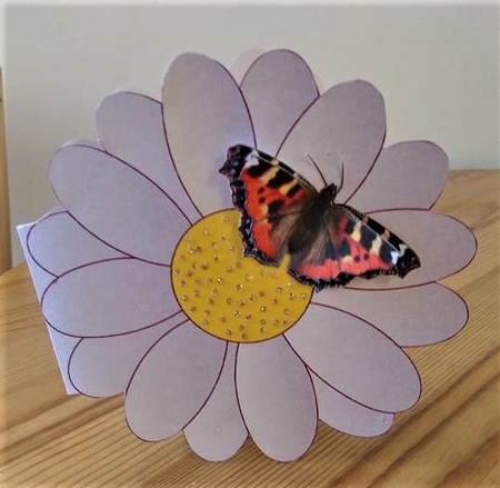 Powder Blue Flower Shaped Card by Debby Bloor