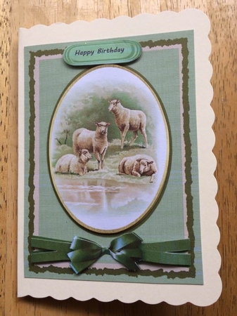 Beautiful Sheep at Pasture by Debby Bloor