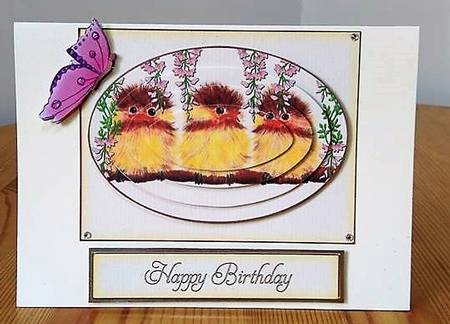 Baby Birds by Debby Bloor