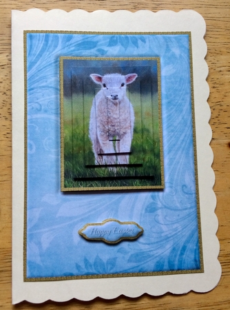 Baby Lamb Quick Card by Debby Bloor