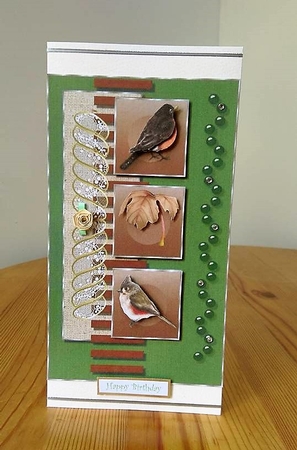 Birds of the Forest Card Topper by Debby Bloor
