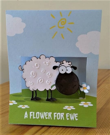 LOOKING SHEEPISH ANY OCCASION POP-OUT APERTURE CARD  by Debby Bloor