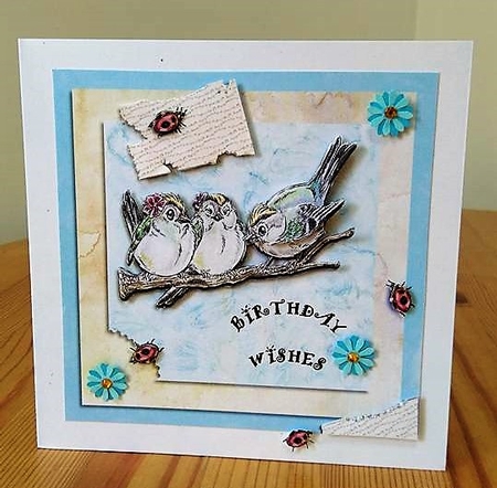 Birthday - Birds On Branch  by Debby Bloor