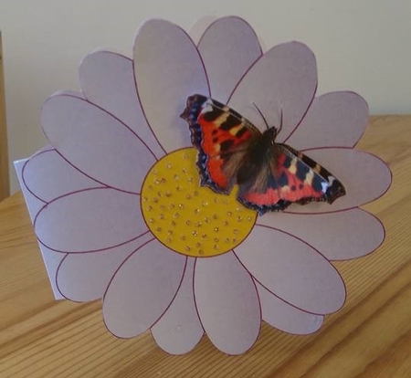 Mixed Butterflies by Debby Bloor