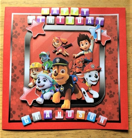 Paw Patrol Is On A Roll 1 by Debby Bloor