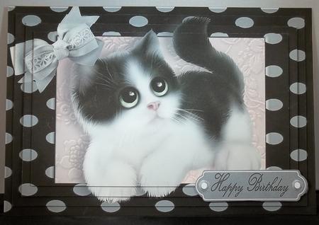 Cute Black & White Fluffy Kitten in Polka Dot Frame by Debi Larson